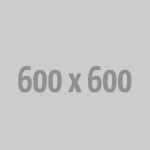 Ice maker
